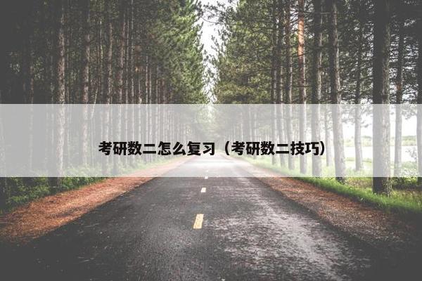 考研数二怎么复习（考研数二技巧）