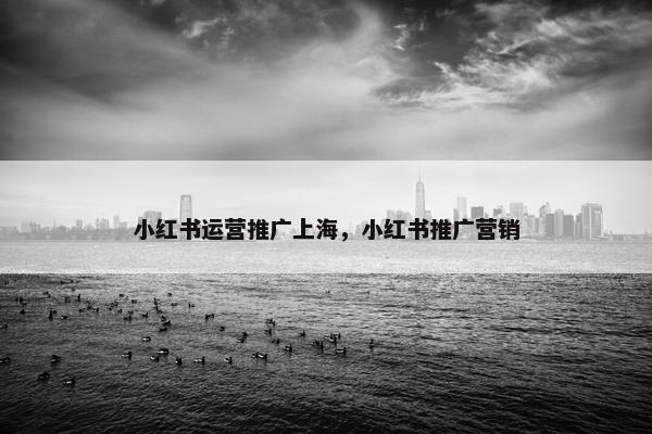 小红书运营推广上海，小红书推广营销