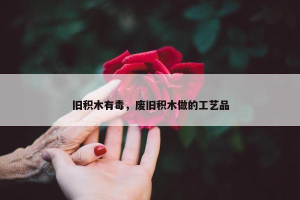 旧积木有毒，废旧积木做的工艺品