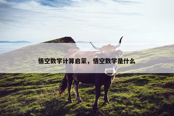 悟空数学计算启蒙，悟空数学是什么