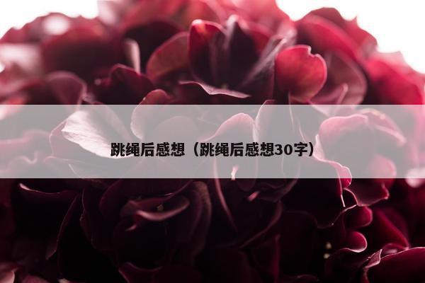 跳绳后感想（跳绳后感想30字）