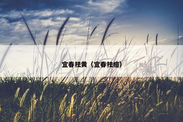 宜春祛黄（宜春祛痘）