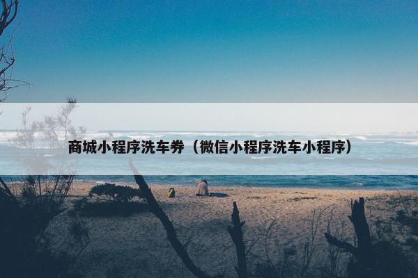 商城小程序洗车券（微信小程序洗车小程序）