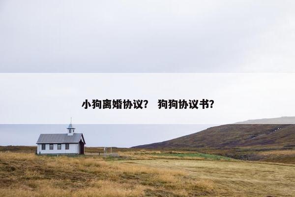 小狗离婚协议？ 狗狗协议书？