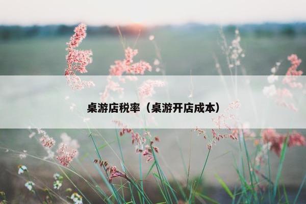 桌游店税率（桌游开店成本）