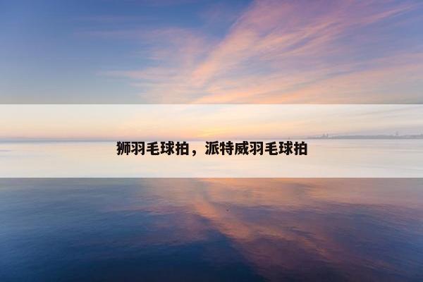 狮羽毛球拍，派特威羽毛球拍