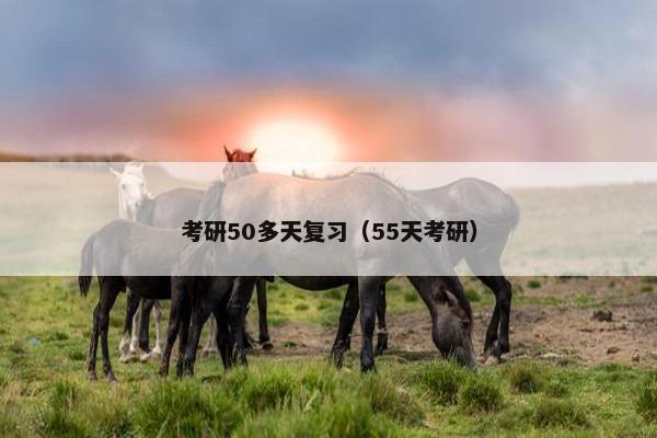 考研50多天复习（55天考研）