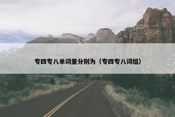 专四专八单词量分别为（专四专八词组）