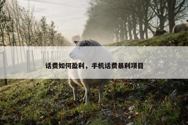 话费如何盈利，手机话费暴利项目