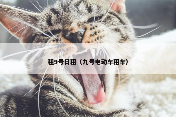 租9号日租（九号电动车租车）