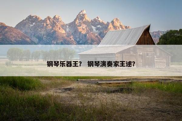 钢琴乐器王？ 钢琴演奏家王逑？