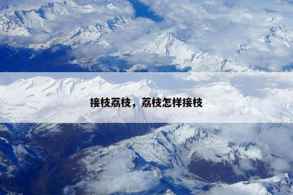接枝荔枝，荔枝怎样接枝