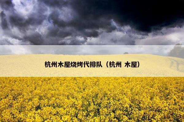 杭州木屋烧烤代排队（杭州 木屋）