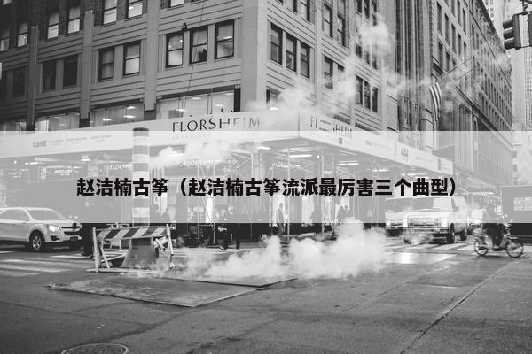 赵洁楠古筝（赵洁楠古筝流派最厉害三个曲型）