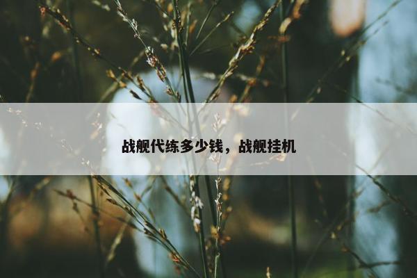 战舰代练多少钱，战舰挂机