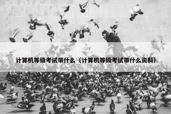 计算机等级考试带什么（计算机等级考试带什么资料）