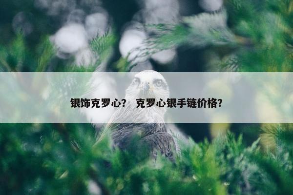 银饰克罗心？ 克罗心银手链价格？