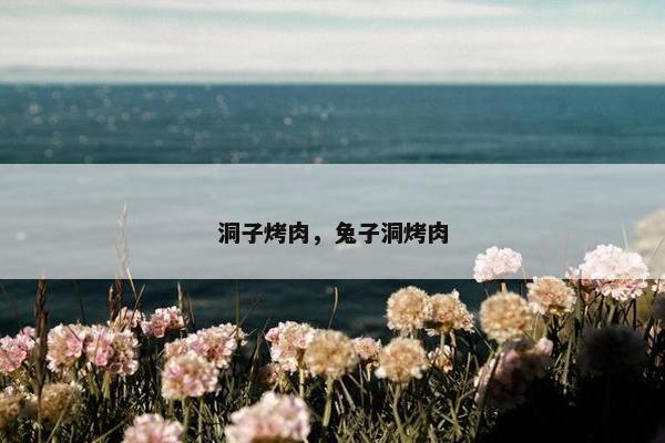 洞子烤肉，兔子洞烤肉