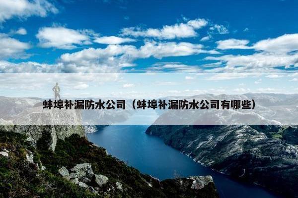 蚌埠补漏防水公司（蚌埠补漏防水公司有哪些）