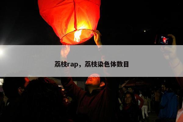 荔枝rap，荔枝染色体数目