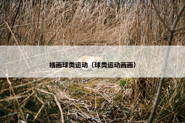 插画球类运动（球类运动画画）