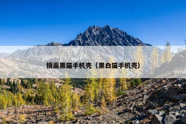 镜面黑猫手机壳（黑白猫手机壳）