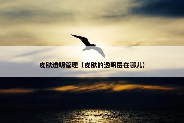 皮肤透明管理（皮肤的透明层在哪儿）