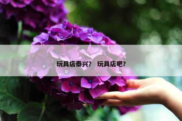 玩具店泰兴？ 玩具店吧？