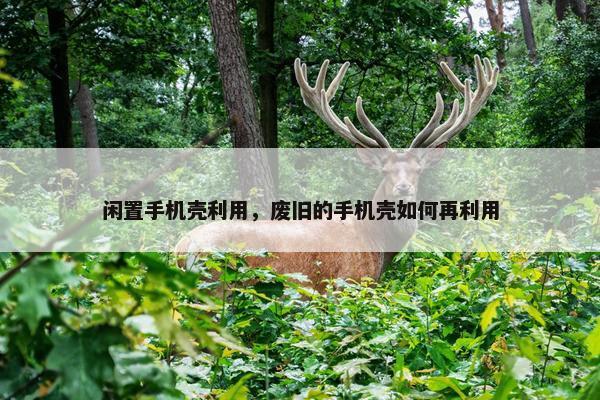 闲置手机壳利用，废旧的手机壳如何再利用