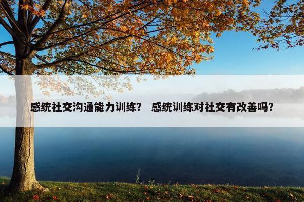 感统社交沟通能力训练？ 感统训练对社交有改善吗？