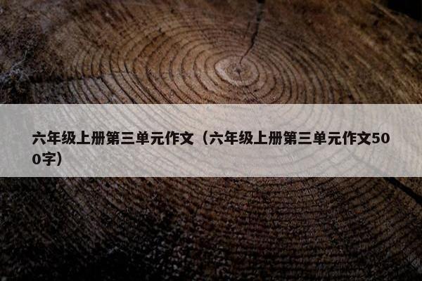 六年级上册第三单元作文（六年级上册第三单元作文500字）