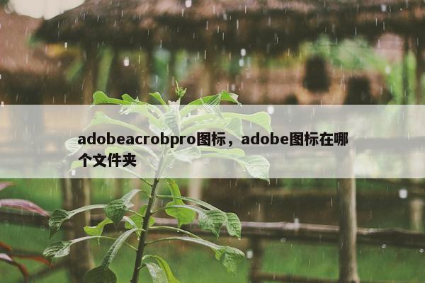 adobeacrobpro图标，adobe图标在哪个文件夹