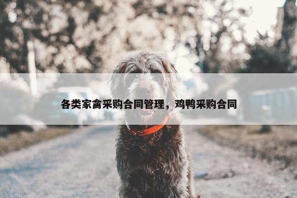各类家禽采购合同管理，鸡鸭采购合同