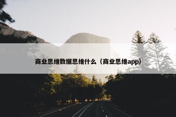 商业思维数据思维什么（商业思维app）