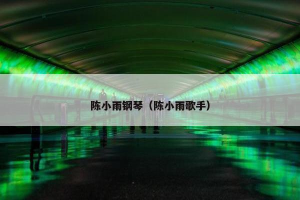 陈小雨钢琴（陈小雨歌手）