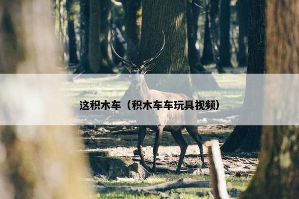 这积木车（积木车车玩具视频）