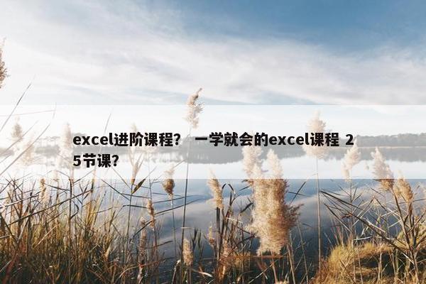 excel进阶课程？ 一学就会的excel课程 25节课？