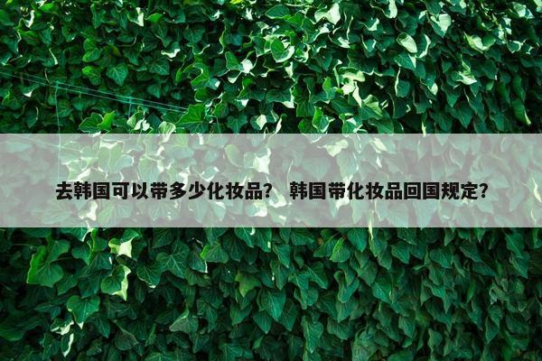 去韩国可以带多少化妆品？ 韩国带化妆品回国规定？