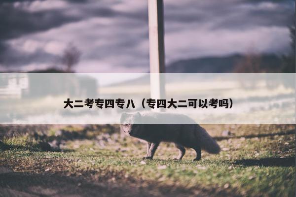 大二考专四专八（专四大二可以考吗）