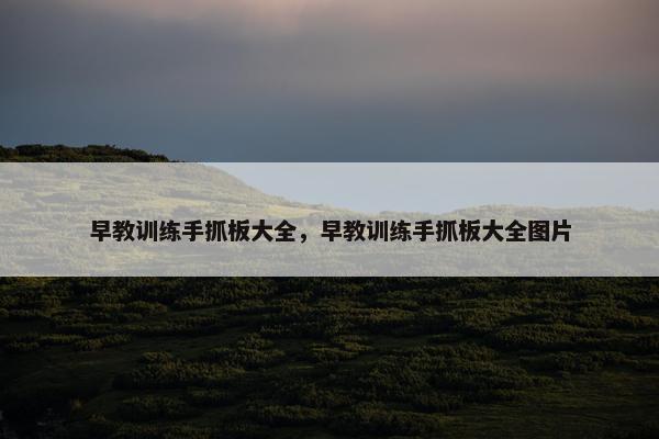 早教训练手抓板大全，早教训练手抓板大全图片