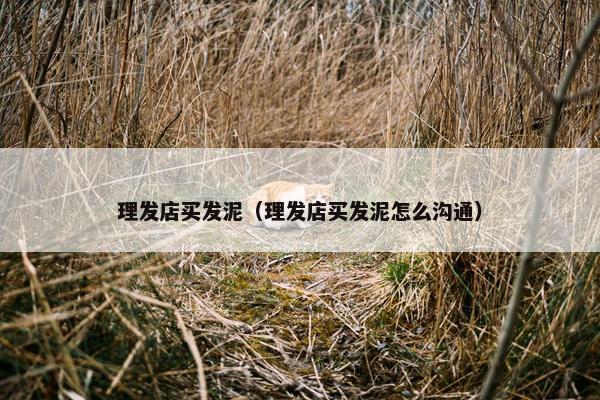 理发店买发泥（理发店买发泥怎么沟通）
