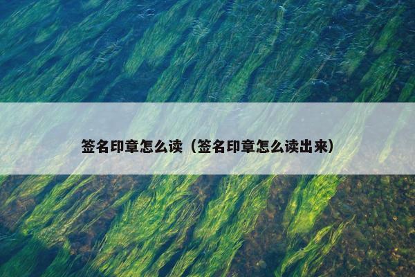 签名印章怎么读（签名印章怎么读出来）