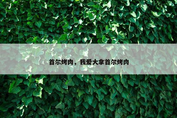 首尔烤肉，我爱大拿首尔烤肉