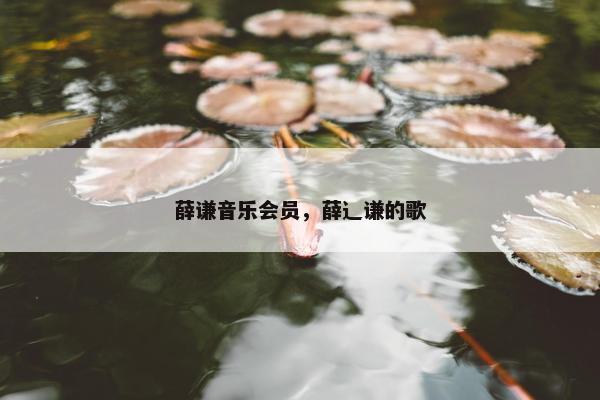薛谦音乐会员，薛辶谦的歌