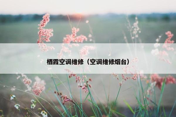 栖霞空调维修（空调维修烟台）