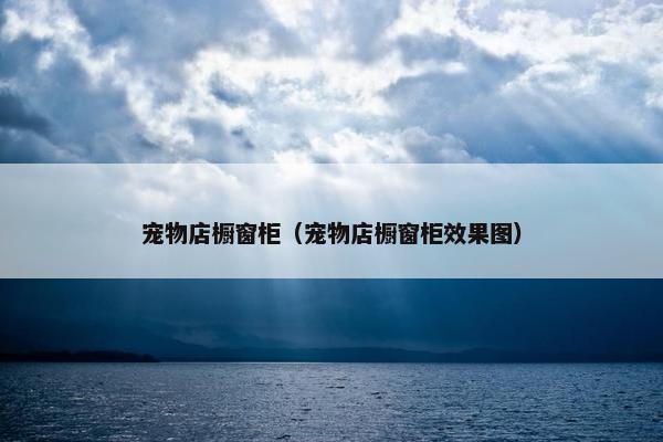宠物店橱窗柜（宠物店橱窗柜效果图）