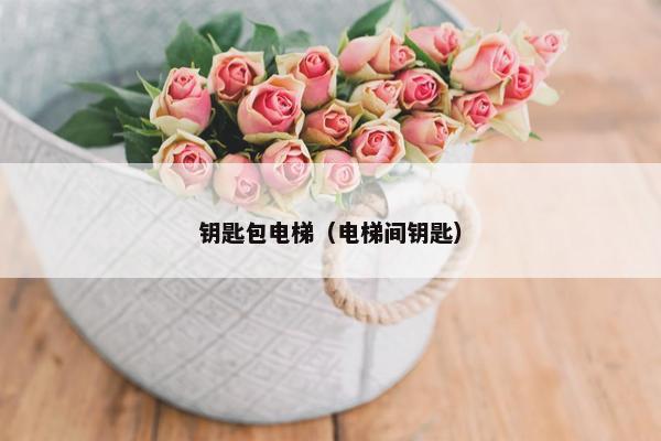 钥匙包电梯（电梯间钥匙）