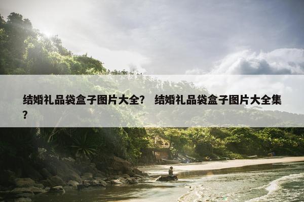 结婚礼品袋盒子图片大全？ 结婚礼品袋盒子图片大全集？