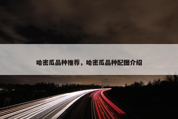哈密瓜品种推荐，哈密瓜品种配图介绍