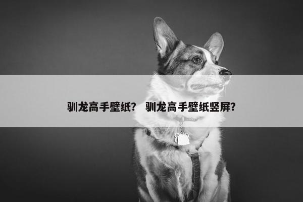 驯龙高手壁纸？ 驯龙高手壁纸竖屏？